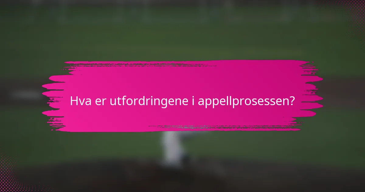 Hva er utfordringene i appellprosessen?
