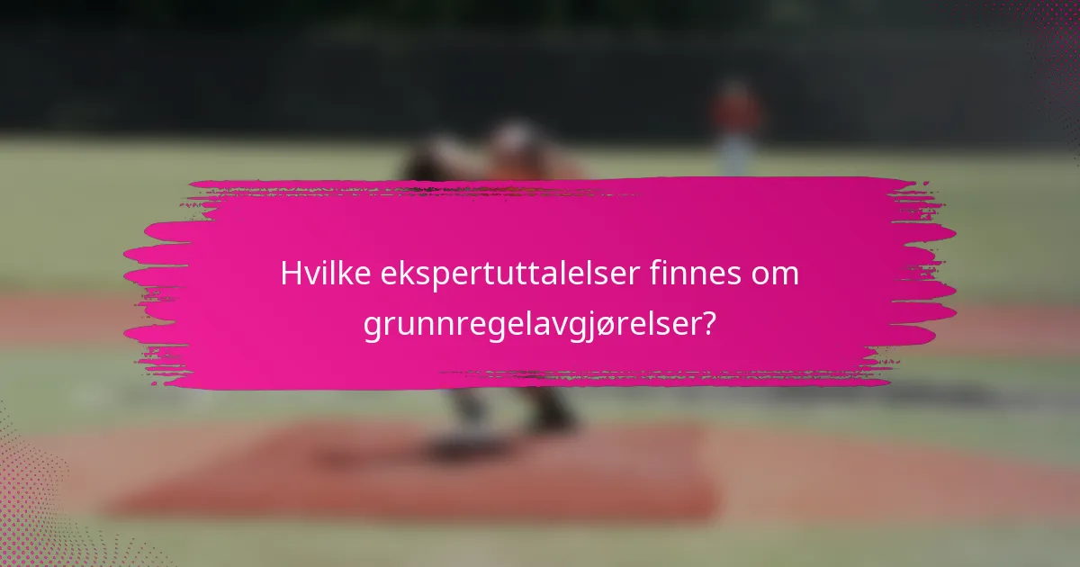 Hvilke ekspertuttalelser finnes om grunnregelavgjørelser?